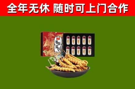陇县烟酒回收冬虫夏草礼盒.jpg